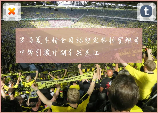 罗马夏季转会目标锁定弗拉霍维奇中锋引援计划引发关注