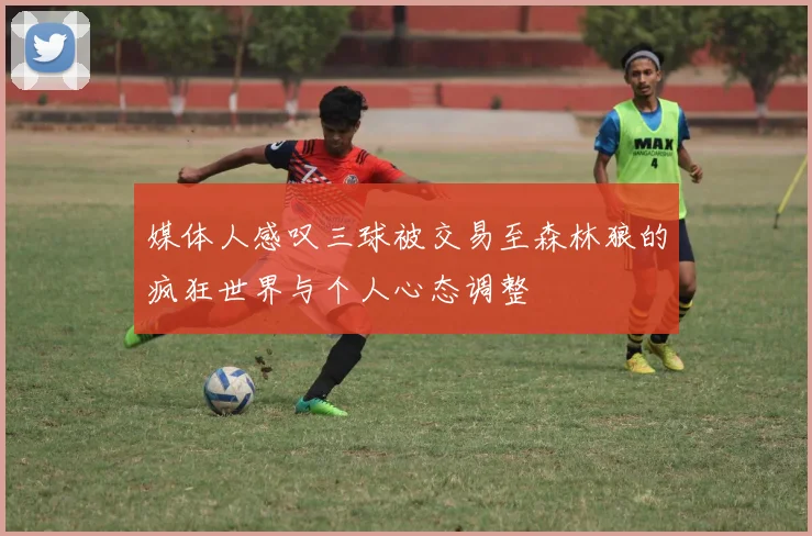 媒体人感叹三球被交易至森林狼的疯狂世界与个人心态调整
