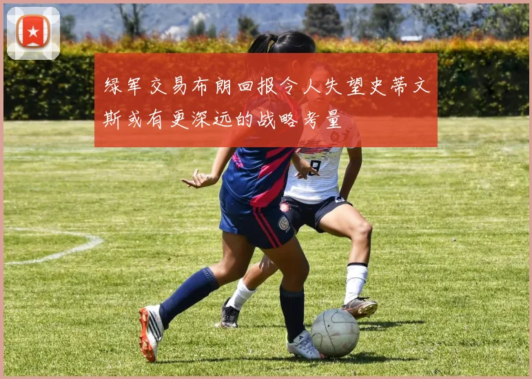 绿军交易布朗回报令人失望史蒂文斯或有更深远的战略考量